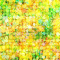 cmp057_Mimosas-Blooming-Garden3