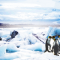 cmp067_PENGUINS1