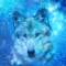 cmp078_UNIVERSEWolfaces3