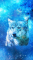 cmp079_UNIVERSEWolfaces4