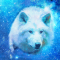 cmp080_UNIVERSEWolfaces5