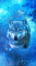 cmp081_UNIVERSEWolfaces6