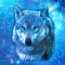 cmp081_UNIVERSEWolfaces6