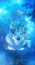 cmp082_UNIVERSEWolfaces7
