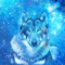 cmp082_UNIVERSEWolfaces7