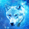 cmp083_UNIVERSEWolfaces8