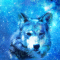 cmp084_UNIVERSEWolfaces9