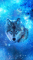 cmp085_UNIVERSEWolfaces10