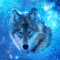 cmp085_UNIVERSEWolfaces10