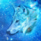 cmp086_UNIVERSEWolfaces11