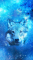 cmp087_UNIVERSEWolfaces12