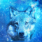 cmp087_UNIVERSEWolfaces12