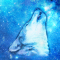 cmp088_UNIVERSEWolfaces13