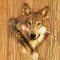 cmp093_WOODWolfaces2