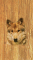 cmp094_WOODWolfaces3