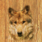 cmp094_WOODWolfaces3