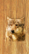cmp095_WOODWolfaces4