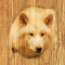 cmp096_WOODWolfaces5