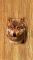 cmp097_WOODWolfaces6