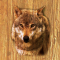 cmp097_WOODWolfaces6