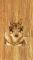 cmp098_WOODWolfaces7