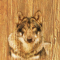 cmp098_WOODWolfaces7