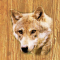 cmp099_WOODWolfaces8