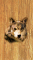 cmp100_WOODWolfaces9