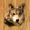 cmp100_WOODWolfaces9