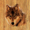 cmp101_WOODWolfaces10