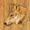 cmp102_WOODWolfaces11
