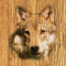 cmp103_WOODWolfaces12