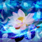 cmp153_宇宙ニ咲ク華1