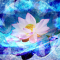 cmp155_宇宙ニ咲ク華3