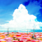 cmp164_華の海を渡る2