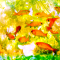 cmp171_金魚の森1