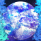 cmp178_幻蒼の月夜