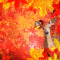 cmp180_紅葉鹿1