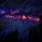 cmp194_星河の森2